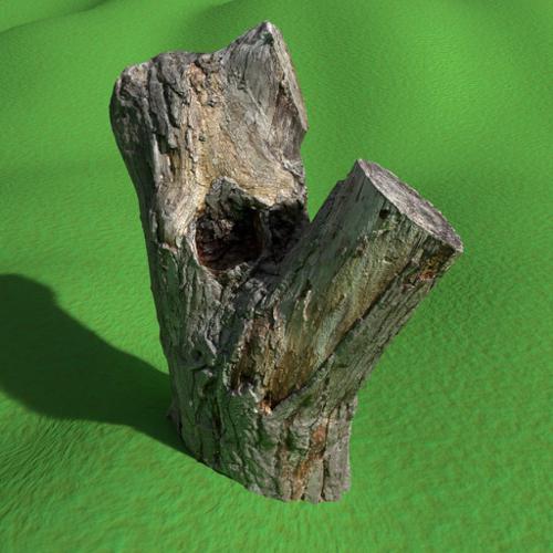 tree stump (photoscanned) preview image
